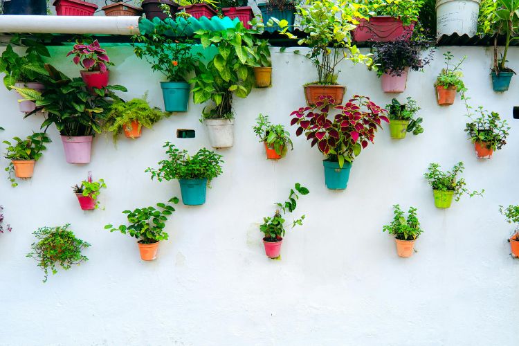 Decoración de jardín en Zaragoza