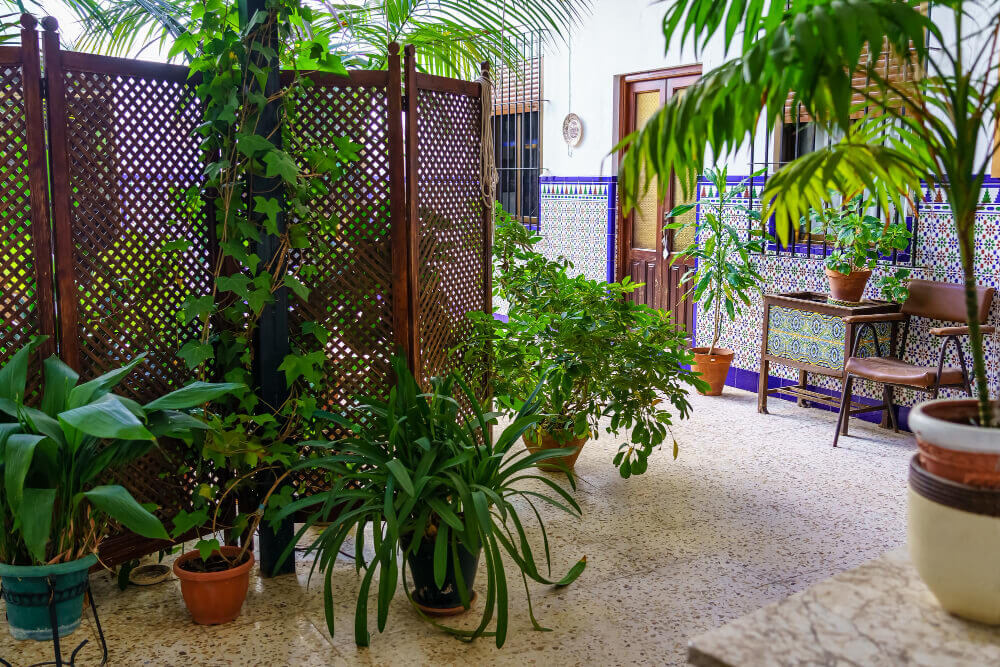 Decoración de jardín en Zaragoza