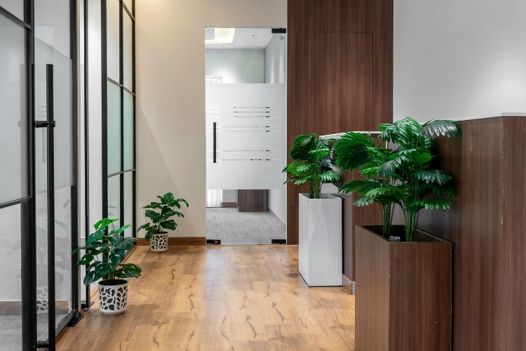 Decoración floral para oficinas