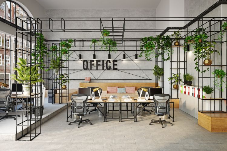 escaparates o vitrinas